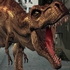 New York Rex